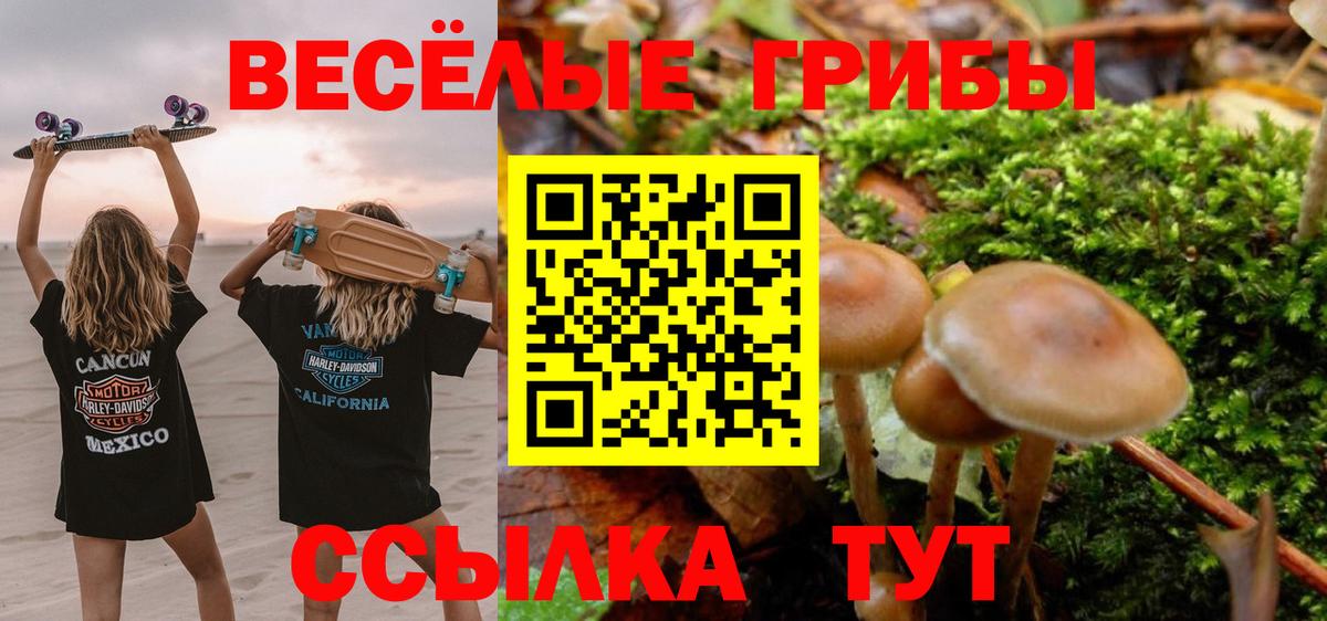 Псилоцибиновые грибы Psilocybe  Вход с VPN  Щёлково 